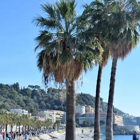 Sunny Cocoon - * Nizza